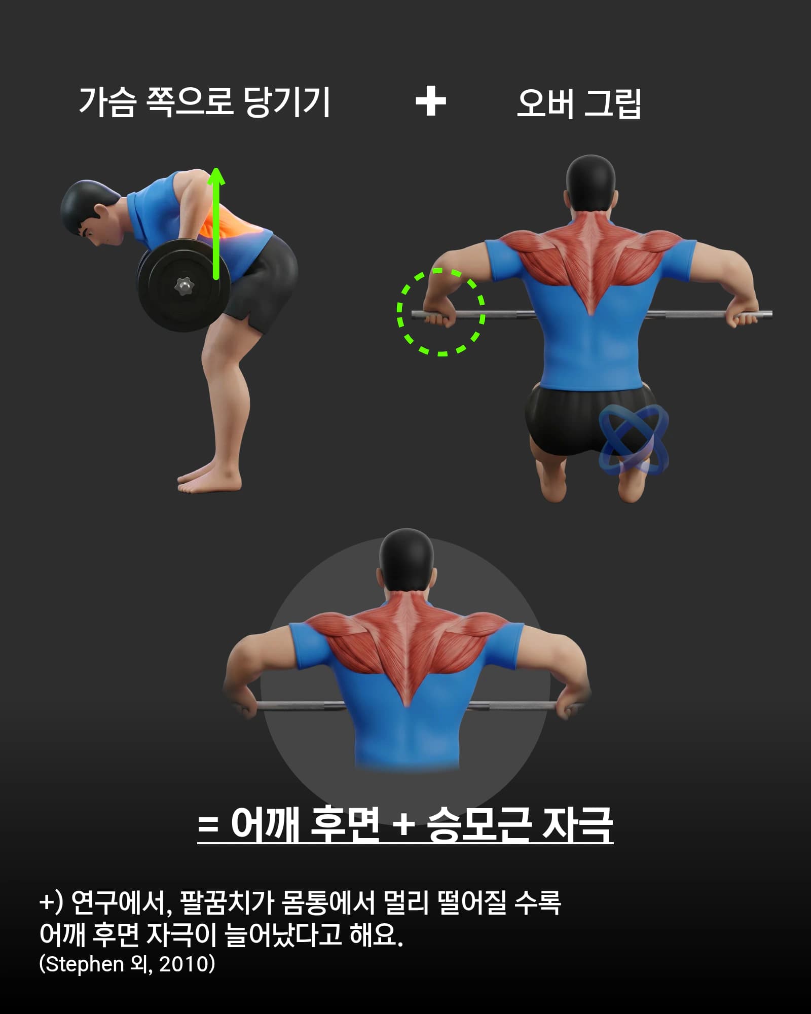 바벨로우 오버그립으로 가슴 쪽 당기기 자세와 어깨 후면·승모근 자극 부위