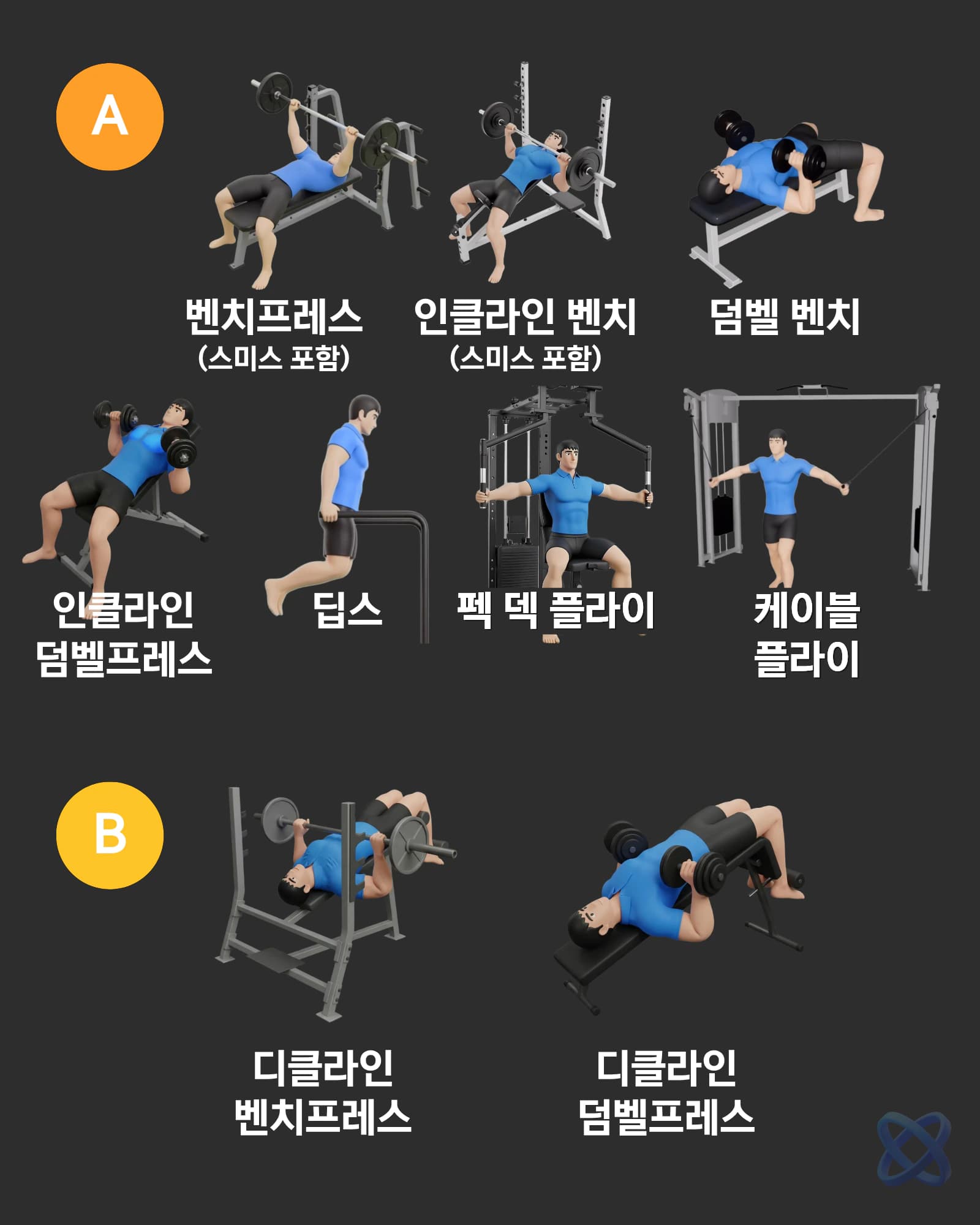 가슴 운동 티어리스트 A 티어와 B 티어: 벤치프레스, 인클라인 벤치, 덤벨 벤치, 딥스, 펙 덱, 케이블 플라이, 디클라인 벤치