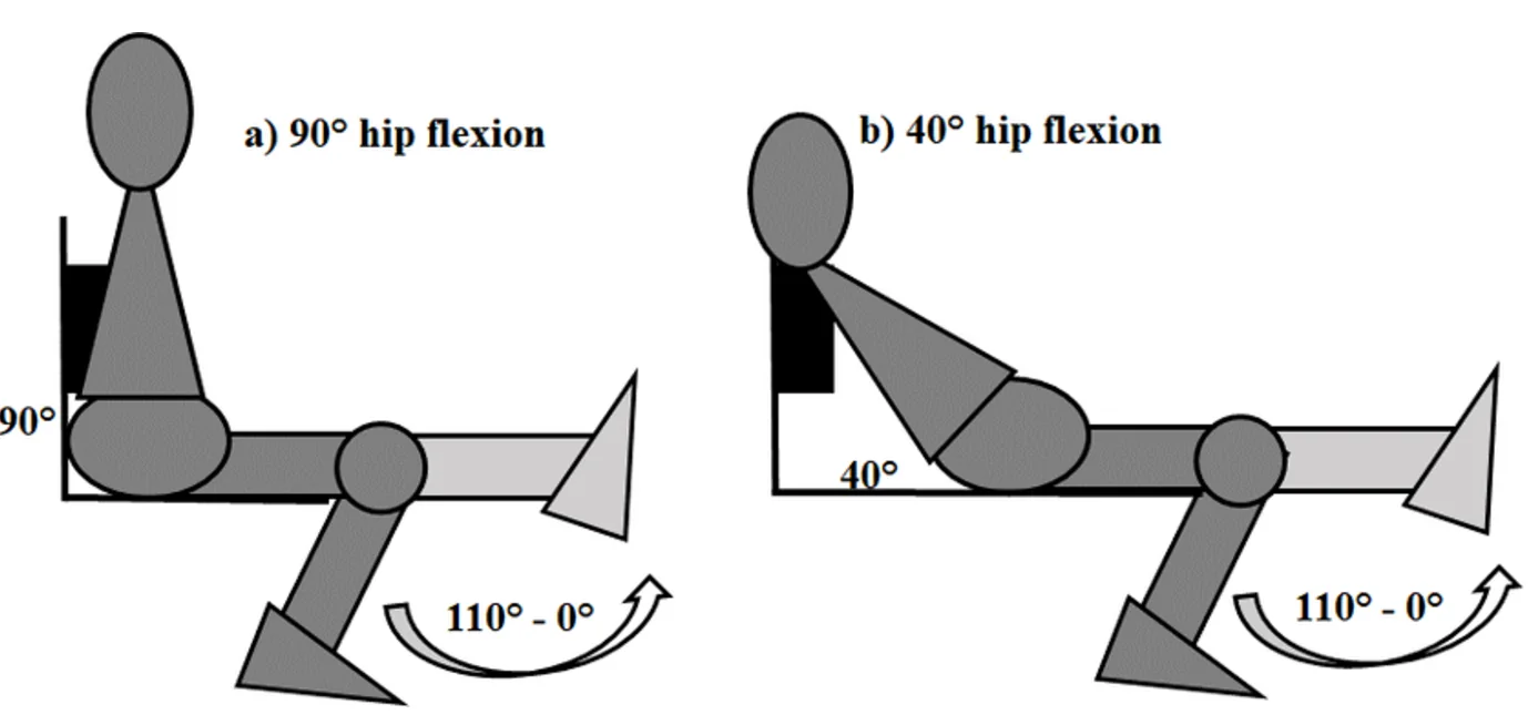 대퇴직근과 외측광근이 강조된 이미지