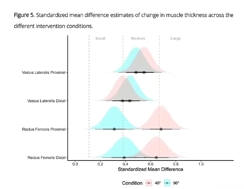 상체 각도에 따른 근비대 결과를 비교한 그래프 이미지