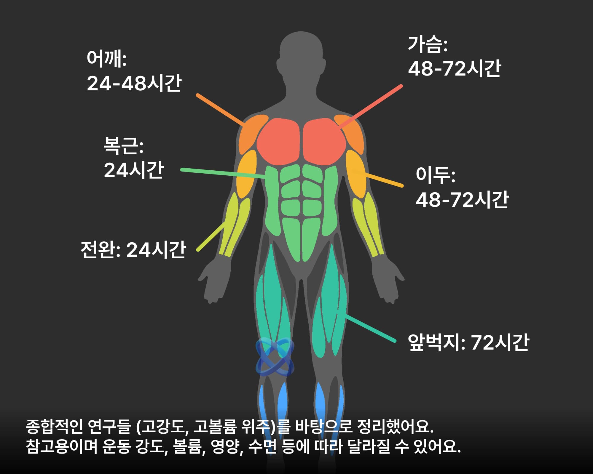 전면 부위별 근육 회복 시간을 인체 그림으로 정리한 이미지 - 어깨 24-48시간, 가슴 48-72시간, 이두 48-72시간, 전완 24시간, 복근 24시간, 앞벅지 72시간
