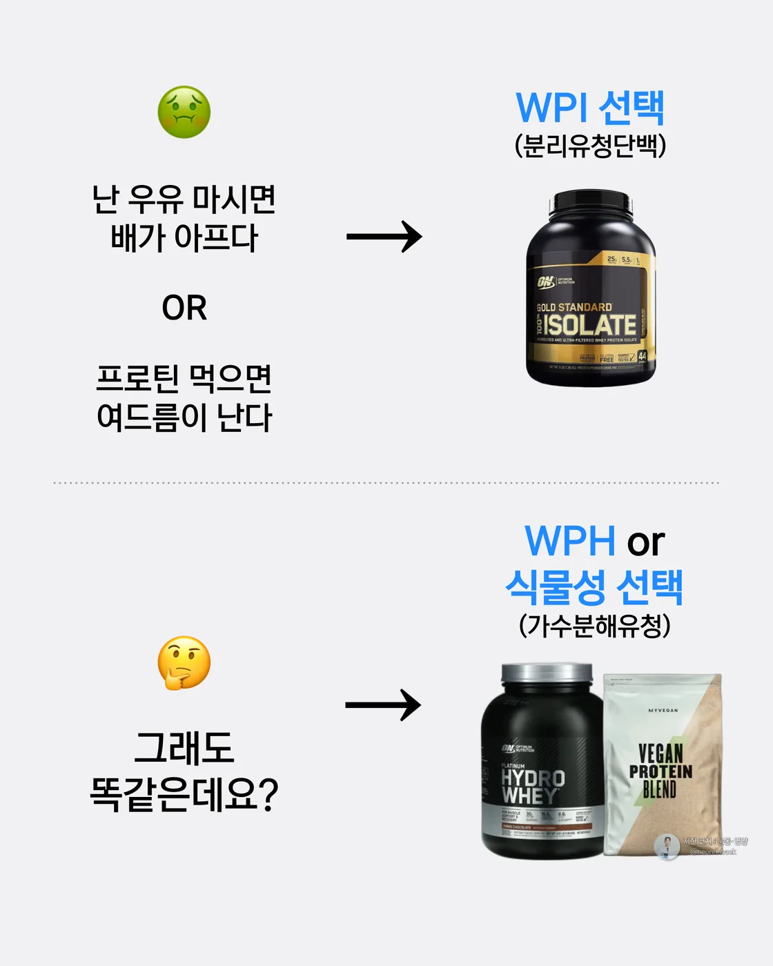 WPI와 WPH, 식물성 단백질을 비교하는 가이드 이미지