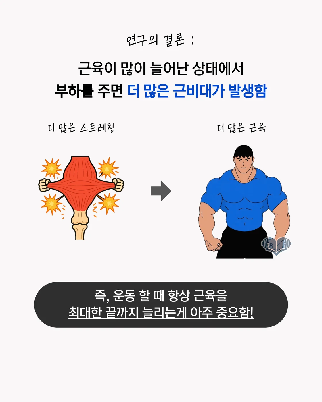 근육이 늘어난 구간에서의 자극 원리를 설명하는 이미지