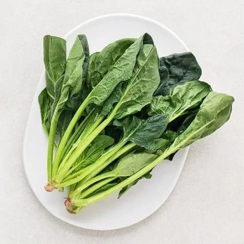 항산화 식품을 포함한 식단 예시 이미지