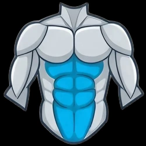 복근 근육 부위