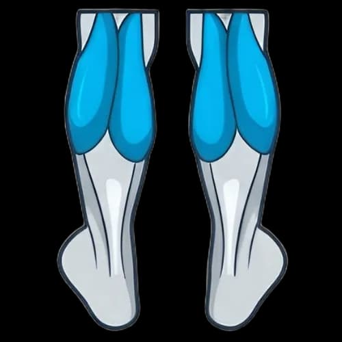 종아리 근육 부위