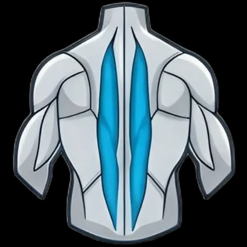 척추기립근 근육 부위