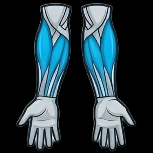 전완근 근육 부위