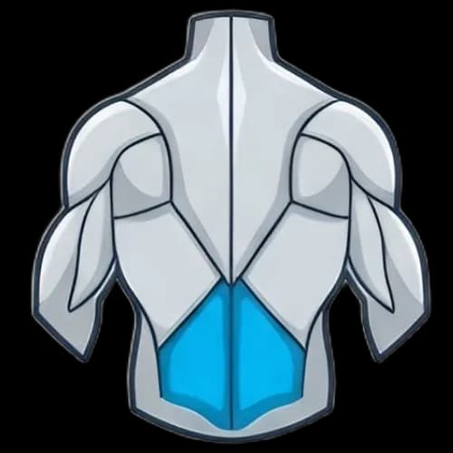 허리 근육 부위