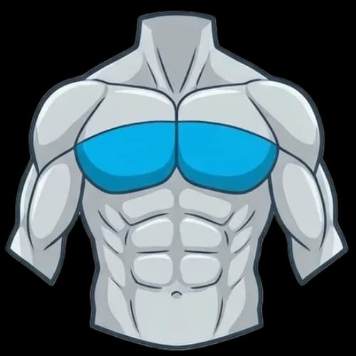 가슴 중부 근육 부위