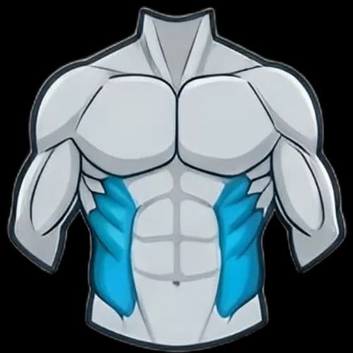 복사근 근육 부위