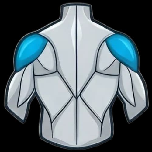 후면 삼각근 근육 부위