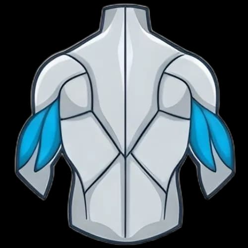 삼두근 근육 부위