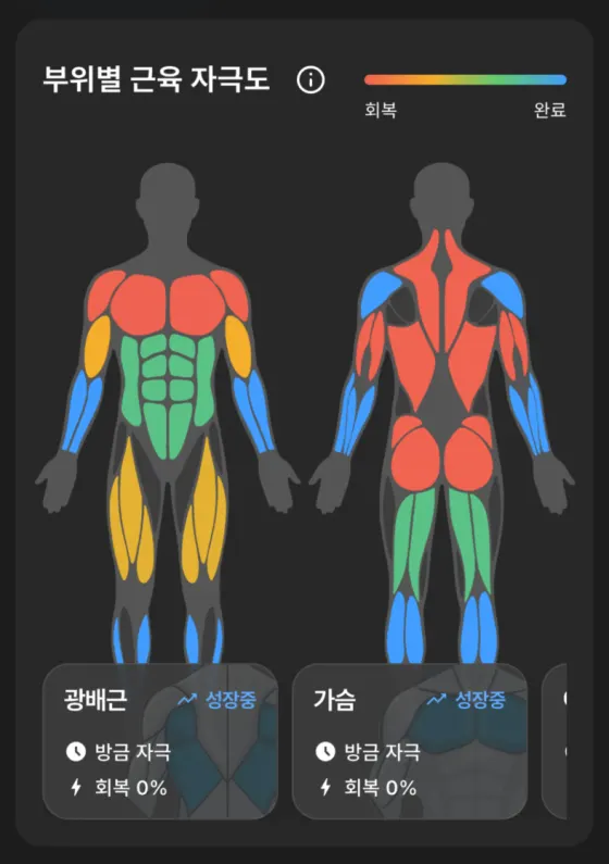 근육 부위별 활성도를 나타내는 히트맵